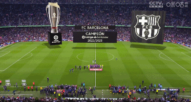 欧洲亚洲华人高尔夫球协会广西队举办成立赛事